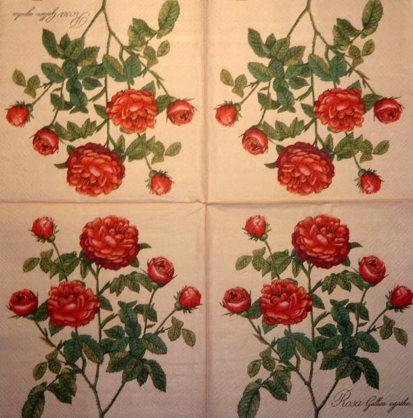 084 Rosen - 3-lagig( hell brombeer) - Atelier